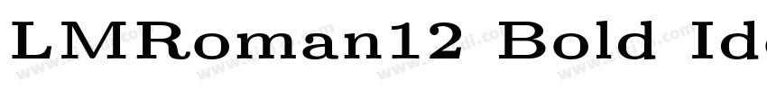 LMRoman12 Bold Ident字体转换